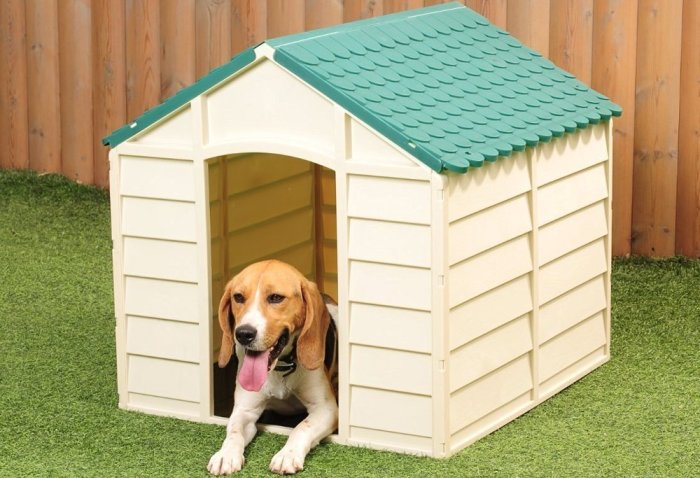 La importancia de que mi perro tenga una casa La importancia de que mi perro tenga una casa